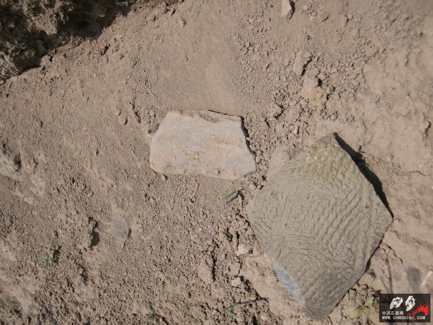 CIMG5634.JPG