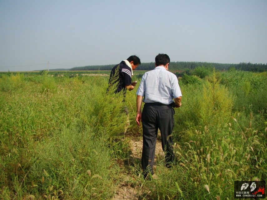 DSC08637.JPG