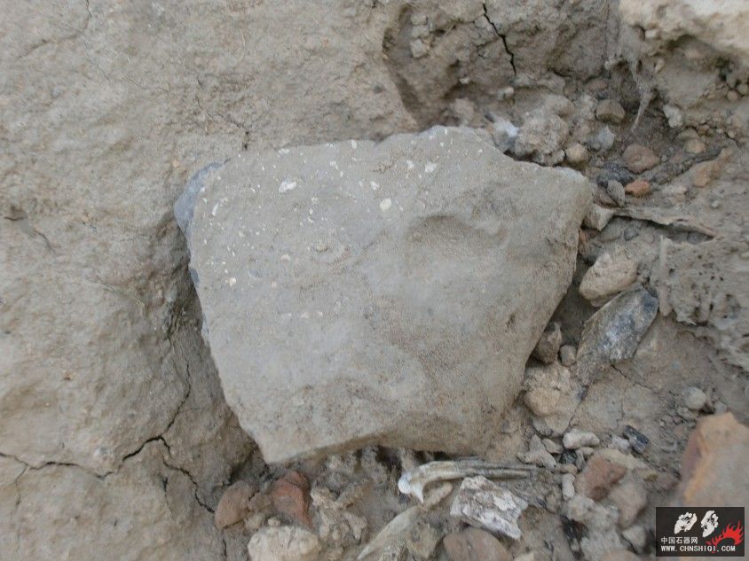 CIMG5653.JPG
