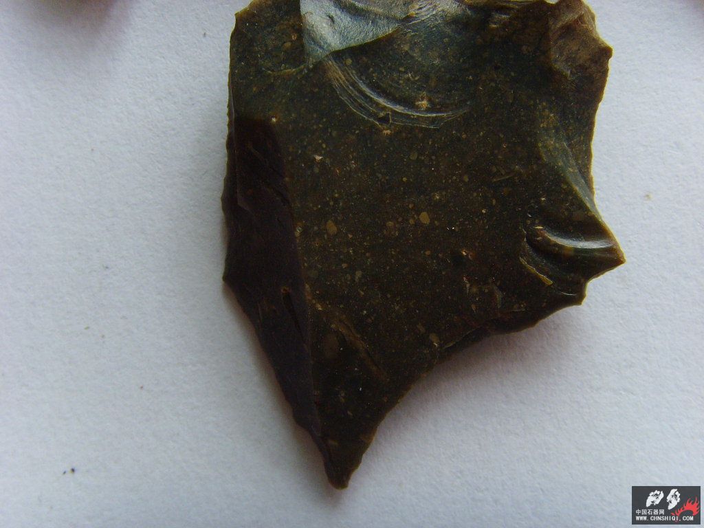 SSL23436.JPG