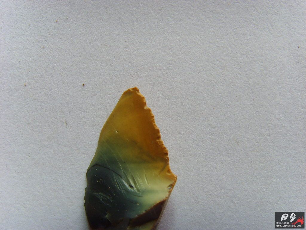 SSL23448.JPG