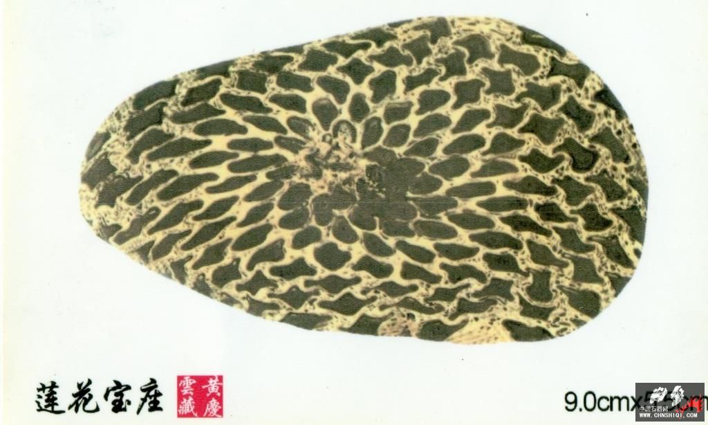 莲花宝座       黄庆云藏-1.jpg