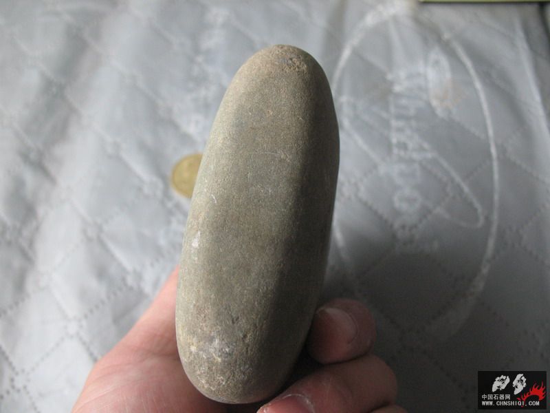 照片 231_缩小大小.jpg