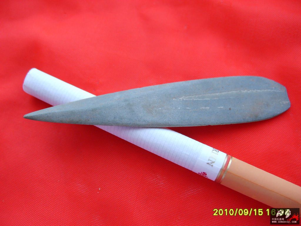 S6001221.JPG