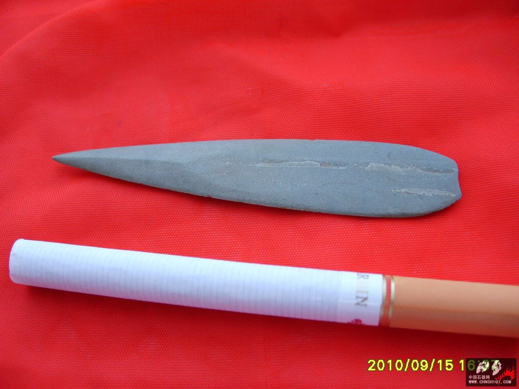 S6001218.JPG