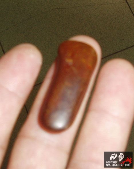 P1010023.JPG