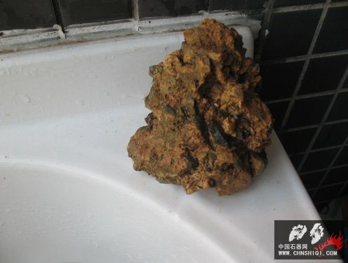 照片 006.jpg