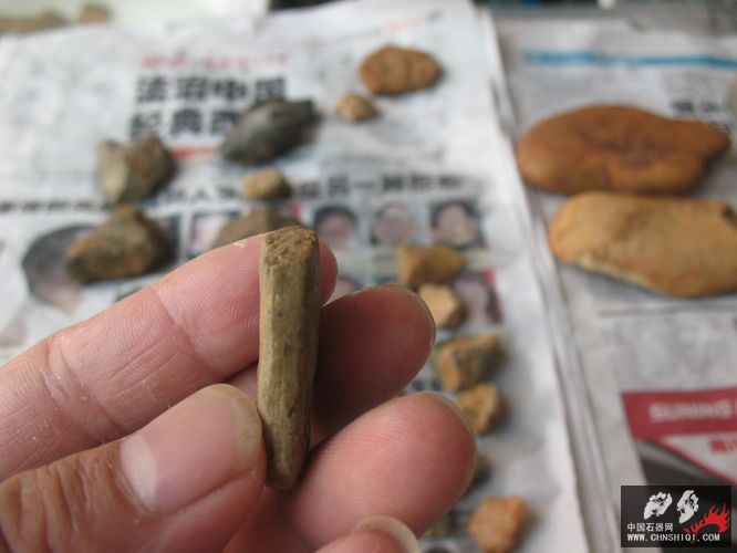 照片 041.jpg