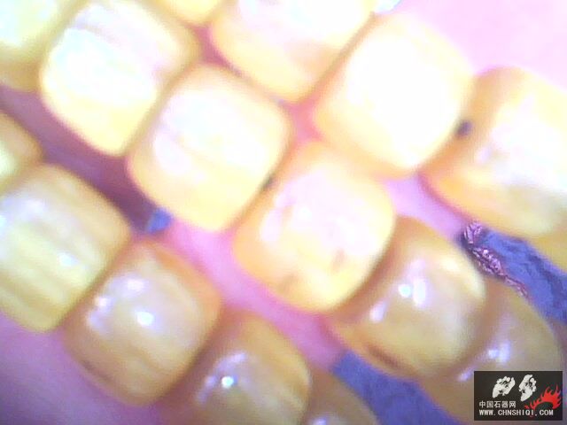 IMG0056A.jpg
