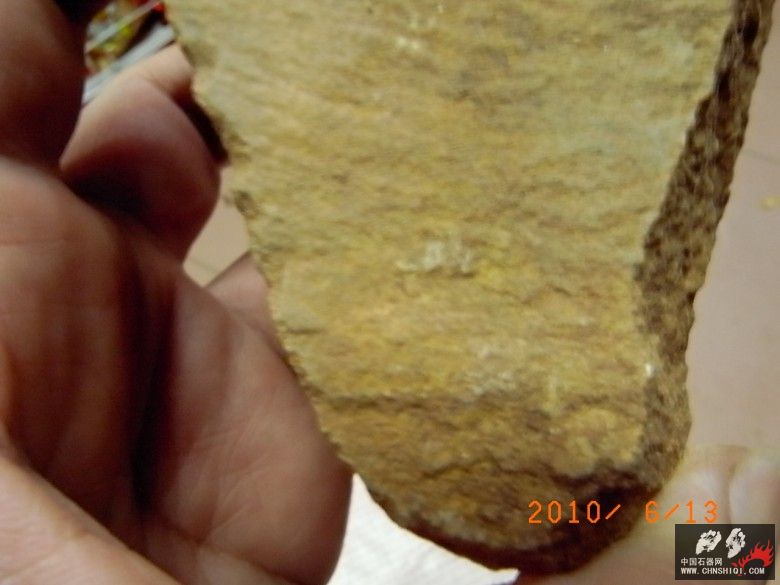 R0029340_conew1.jpg