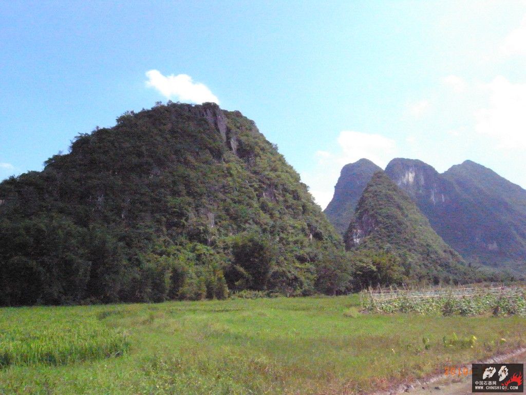 R0029605_conew1.jpg