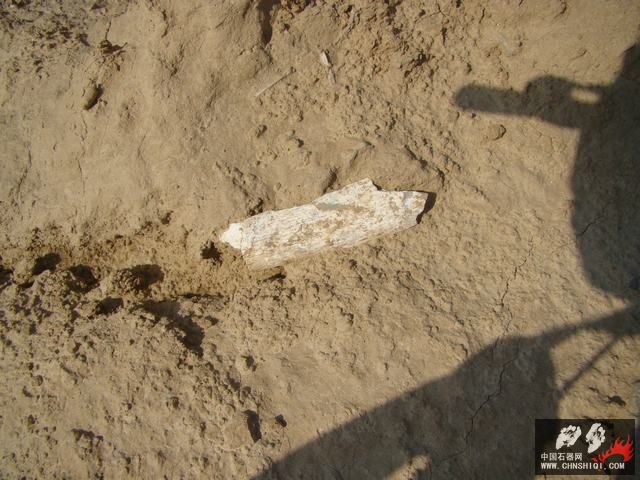 DSC09323.JPG