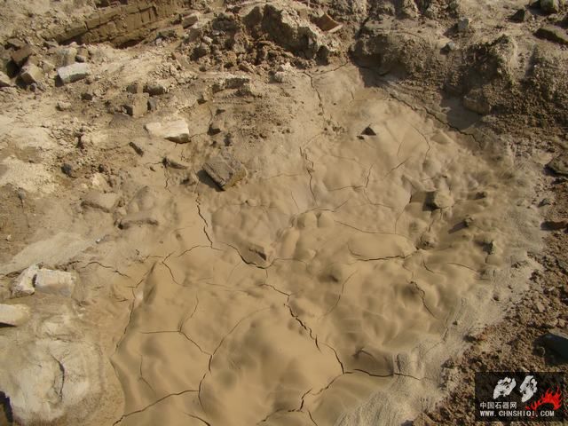 DSC09322.JPG