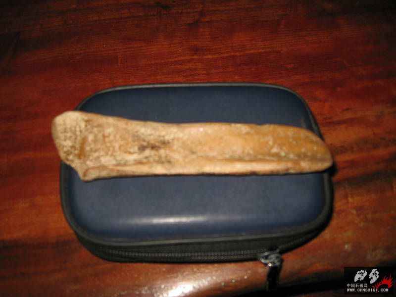 出水骨器 (2).JPG