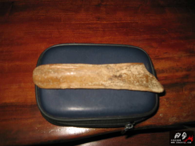 出水骨器.JPG