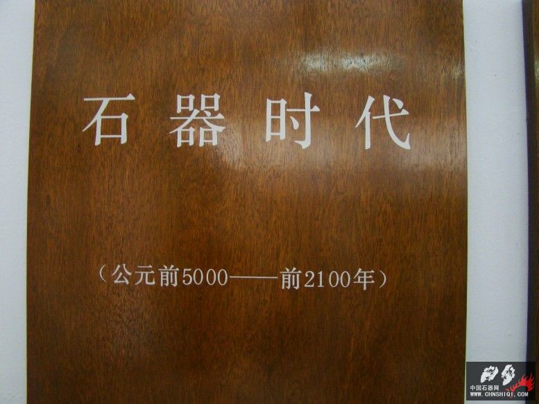 DSC00564.jpg