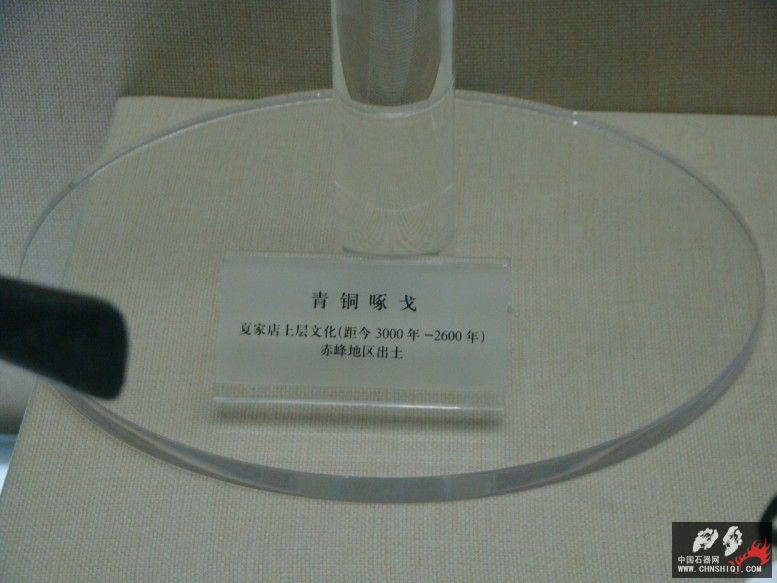 DSC00098.jpg