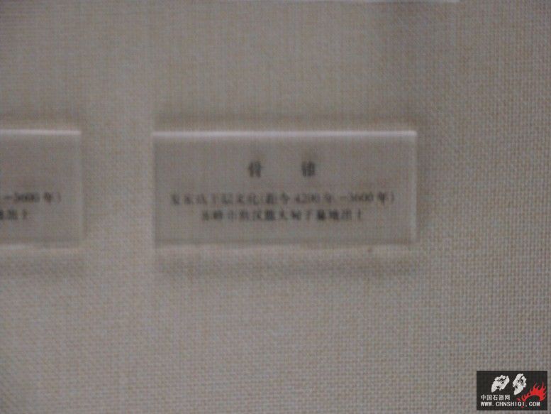 DSC00089.jpg