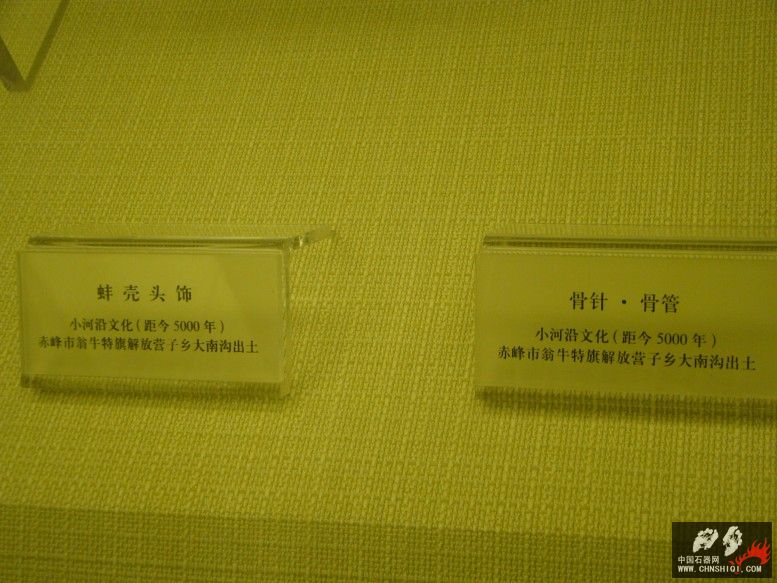 DSC09850.jpg