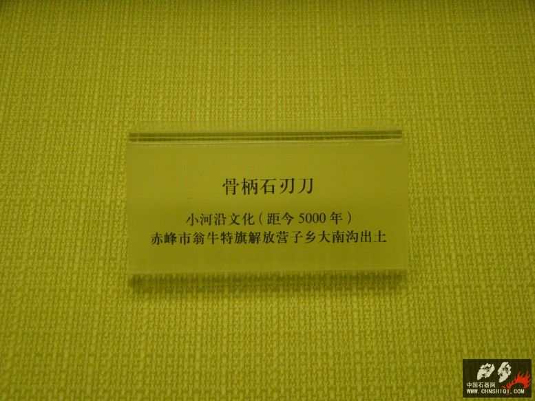 DSC09852.jpg