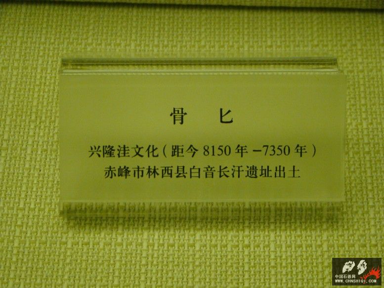 DSC09951.jpg
