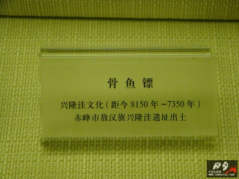 DSC09952.jpg