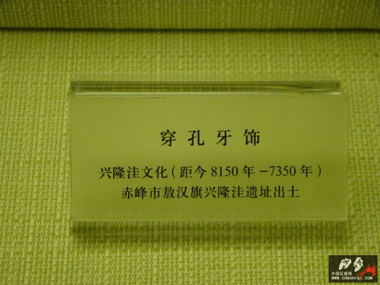DSC09953.jpg