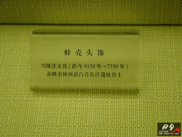 DSC09959.jpg