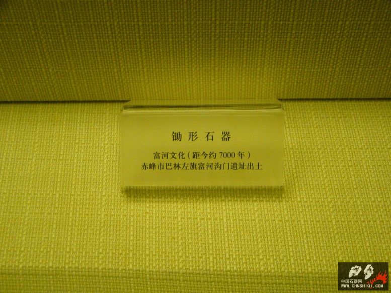 DSC09908.jpg