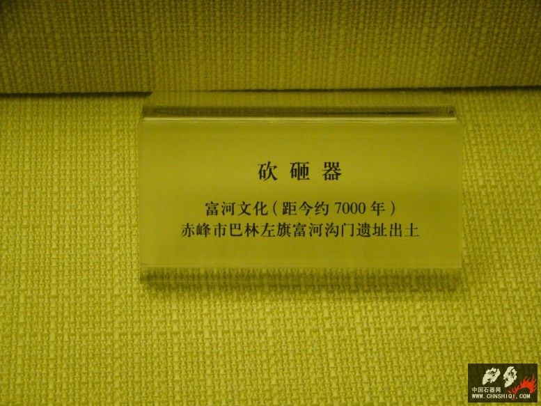 DSC09909.jpg