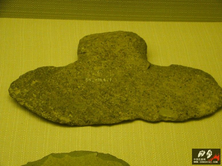 DSC09972.jpg