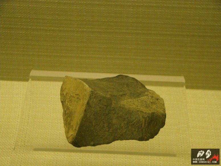 DSC09986.jpg