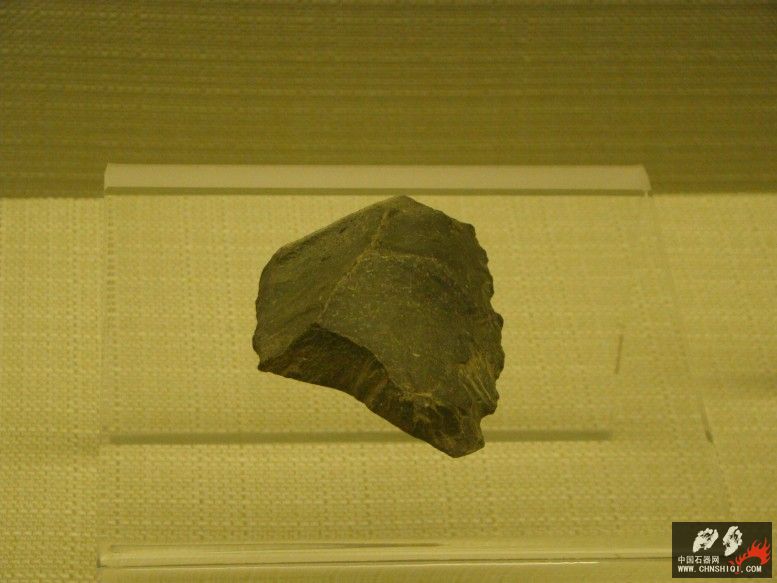 DSC09988.jpg