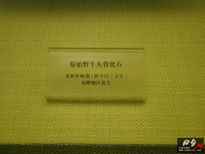 DSC09993.jpg