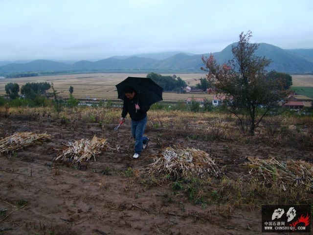 DSC09461.JPG