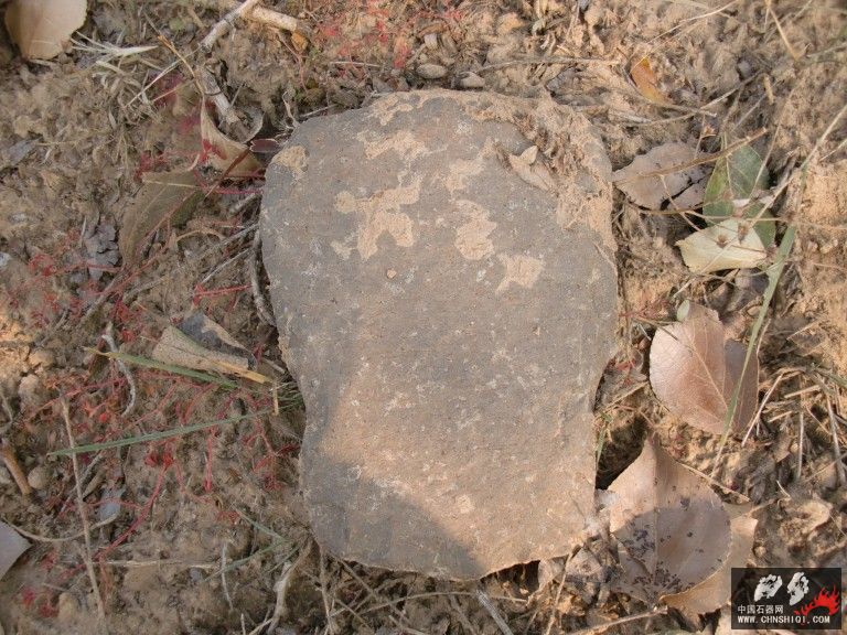 CIMG5953.jpg