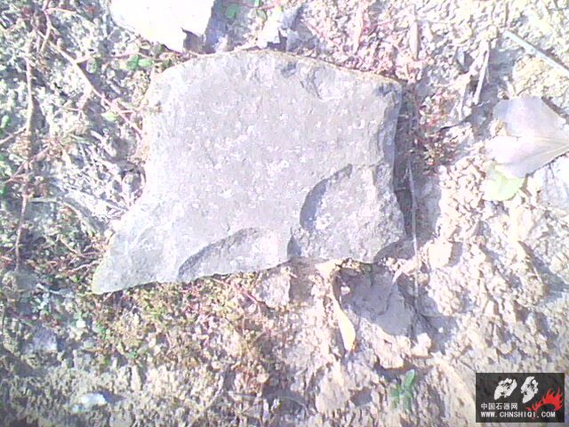 IMG0092A.jpg