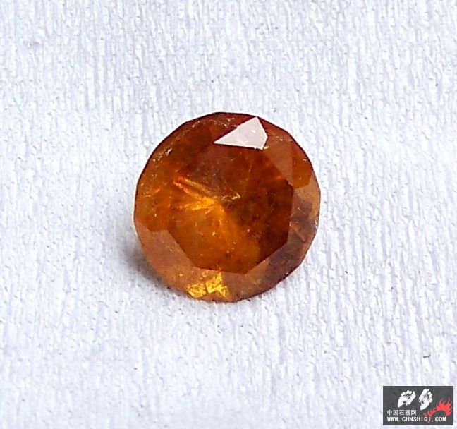 10-10标本D 053.jpg
