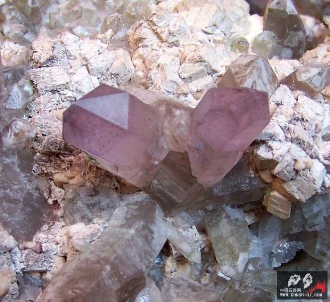 山东紫晶 007.jpg