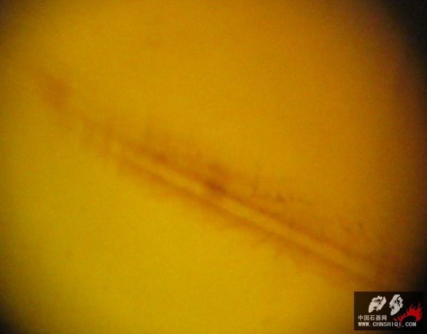 照片t09.JPG
