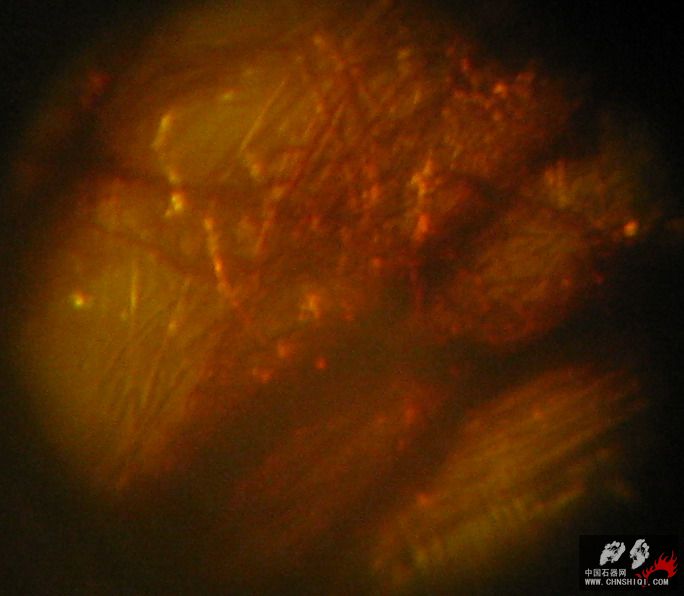 照片 t13.JPG