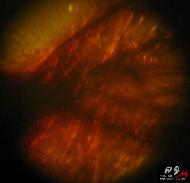 照片t06.JPG