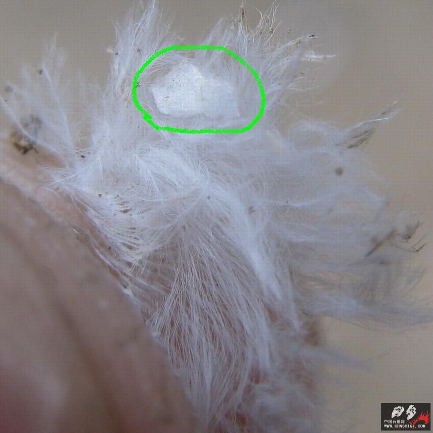 照片t27.JPG