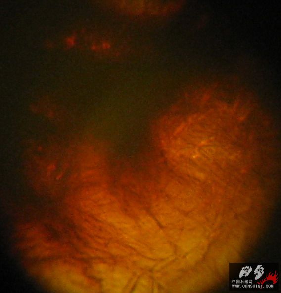 照片 t05.JPG