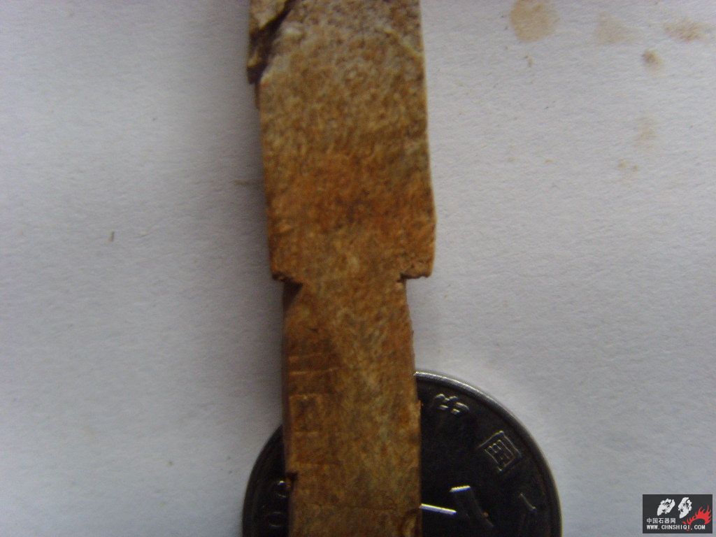 SSL24145.JPG