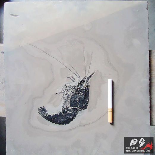nEO_IMG_DSC01230.jpg