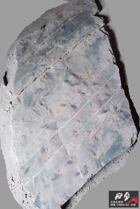 nEO_IMG_DSC01305.jpg