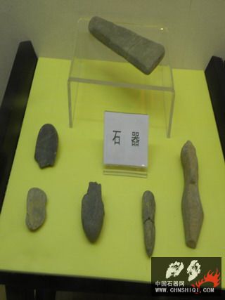 PA240228.jpg