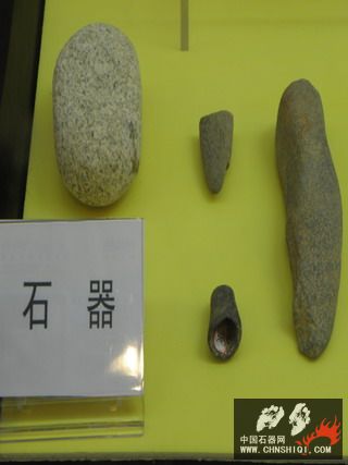 PA240226.jpg