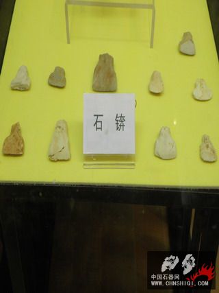 PA240208.jpg